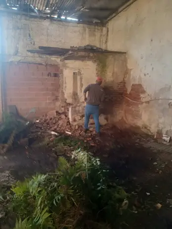 Desmonte de Techo, Demolición de Galpón y Limpieza de Terreno en San Fernando - imagen 3