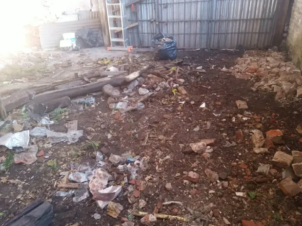 Desmonte de Techo, Demolición de Galpón y Limpieza de Terreno en San Fernando - imagen 7
