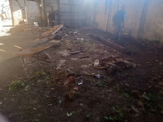 Desmonte de Techo, Demolición de Galpón y Limpieza de Terreno en San Fernando - imagen 8