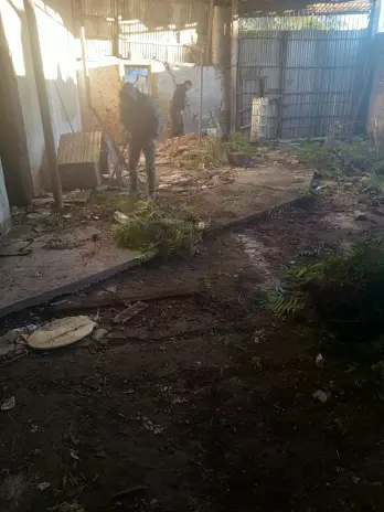 Desmonte de Techo, Demolición de Galpón y Limpieza de Terreno en San Fernando - imagen 9