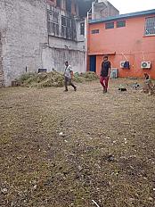 Servicio de Desmalezado de Terreno en Tortuguitas - Tigre - imagen 2