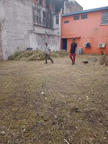 Servicio de Desmalezado de Terreno en Tortuguitas - Tigre - imagen 2