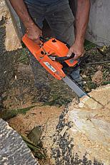 Poda de Altura de Enorme Árbol en Patio de una Casa en Chacarita - CABA -  Buenos Aires  - imagen 16