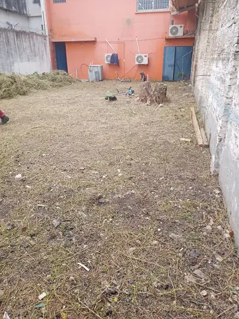 Servicio de Desmalezado de Terreno en Tortuguitas - Tigre - imagen 3