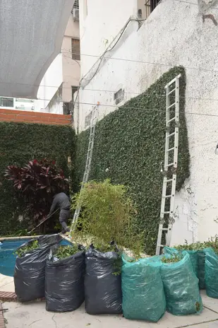 Desmalezado y Retiro de Enredadera en un Consorcio de Parque Chacabuco