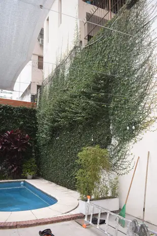 Desmalezado y Retiro de Enredadera en un Consorcio de Parque Chacabuco - imagen 2