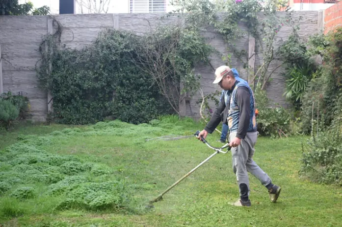 Desmalezado y Limpieza de Terreno en Florida Oeste, Vicente López - imagen 2