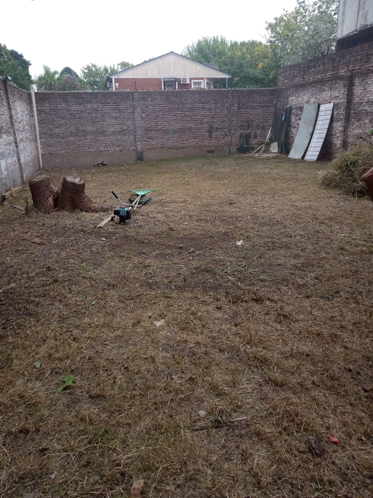 Servicio de Desmalezado de Terreno en Tortuguitas - Tigre